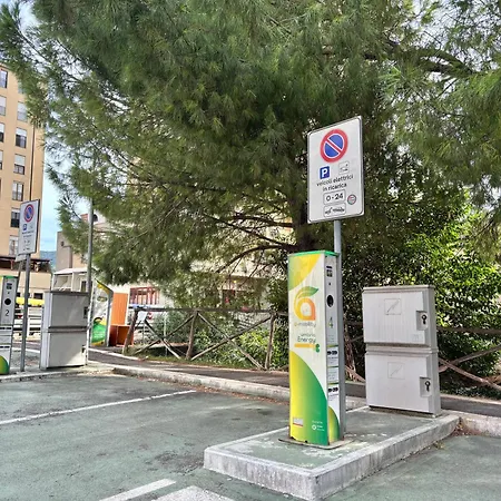 My Fiorella טרני